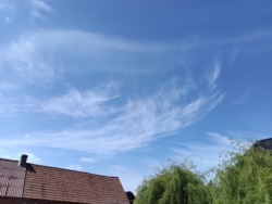 98a184c5-236f-4424-8ddf-35b88a30a9ae