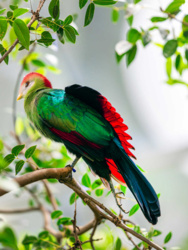 ddbf8156-64c3-4c89-97fd-475be8519c95