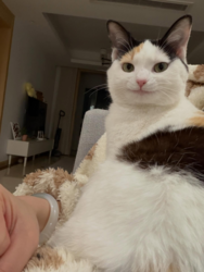 521e948f-23df-4f5b-82be-748e685eb077