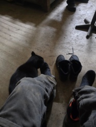 f78071ad-83c4-42de-b18c-8fd967386e51