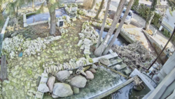 5316db7b-7358-4fe1-8749-fe58c4b5586b