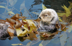 0f584f3e-3534-44fc-9911-0830b90f2814