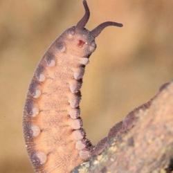 e4480b0c-d2db-49d8-bf27-fb69328fdb1e