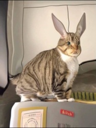 541b3be2-e9cb-4bd0-a144-cfcfb0d84871