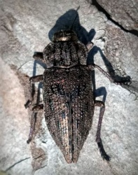 45fc4cab-ab1b-4294-9ef5-61e7fa88e570