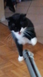 88f61489-c9cb-480c-a8c3-ed8737ce2c21