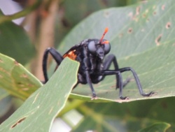 a2e75cd7-b0ea-4c16-9ec8-daf9e3745d13