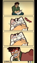 e03aac6a-bd52-4e02-8e65-d4741fd36dc0