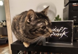 2776519f-aeaf-41aa-9d76-de35d3ccbef8