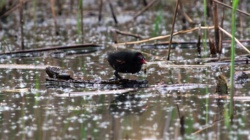 954882fc-d8f1-4cb3-b8a6-cb472898a576