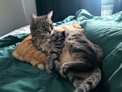 a5e3a970-ce94-49ae-a2f5-ba31bd33eaeb