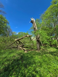 dab61522-4c22-4dbb-a2a4-f05ae54d9c5d