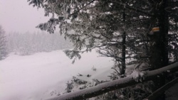 19b7dfed-9bb0-4fbd-900d-4ba06383d518