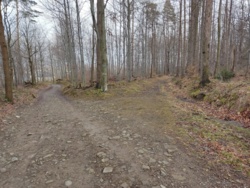 9781868b-4f88-456e-b59e-c39cc64a15bf