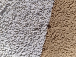 d01f0c66-07cf-48bf-820c-40fc3bb4ad86