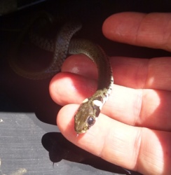 cb4cc8d2-6355-41c0-b2b7-cb0d7db6d032