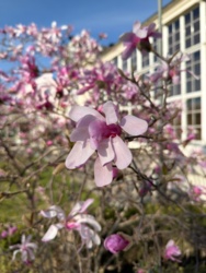 2b349690-689b-4fd7-b3e3-9ae0266638de