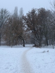 9a008905-7f67-46ed-ae55-b208d350d054