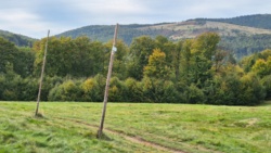 abc512b2-9c27-489f-ba7a-b93bd56347cd