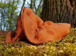 a7785314-2a3d-4ea3-a835-454499d3c3f6