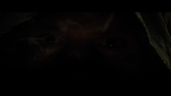 6ceebf17-be25-4663-96df-261daa977f4b