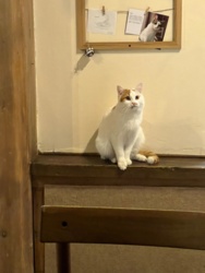 b4a8f29e-6f3f-4cd8-a977-0a0a1d7003fd