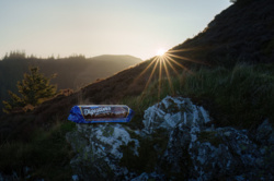 29e8ad33-12a5-4b37-83d0-a386b364c166