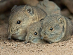 ea2ea681-cd3f-4b1a-be8d-e9423a5bebce