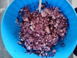 04b0eaef-bfec-40df-9d12-648bf5887e59