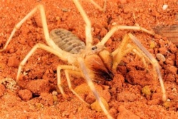 ab4eb73e-b079-4477-b937-dbf66bc2ca73