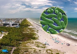 Nie żyją cztery osoby. Groźna bakteria "zjada ciało" i sieje postrach