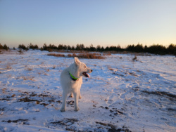 88e13784-bc9b-4582-a81a-9d56f11880f4