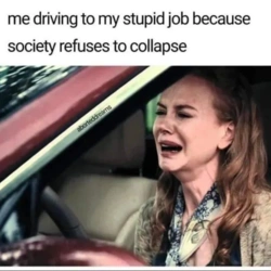 1d51c77e-f29d-49f7-91f6-030403a39c83