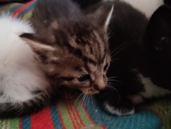 f18d054b-742b-404a-ad82-d248e3a7ddcf