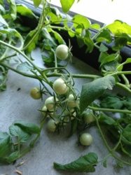 7bbe5f3f-bd18-49fa-8cd1-2847b8c4cf89