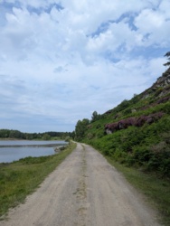 45ad2bf1-28a7-418c-9a9b-1403fef34a49