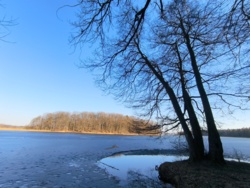 d2a93b0e-e6f7-437a-98e4-7faedc5cbf26