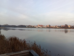 5d58c8eb-37a8-4488-99c3-51d948c3a71e