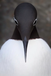 d8ecf2b8-56a1-4d10-8252-33ebab781c72