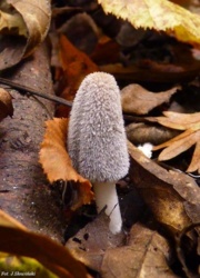 4de78193-2114-4257-82cb-3e51b1dc2bcb