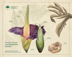 654ab59c-9fcd-4115-aeed-bbb8fc9c8fb2