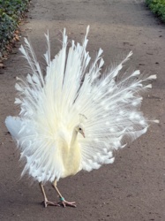 869e9fe7-5158-44dc-b9eb-67a7159df915