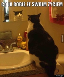 7d03d29c-2470-4efd-8c01-61380027b4d4