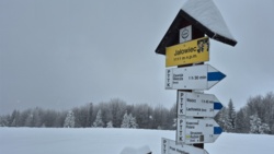 fd6d7aed-92d3-4014-9f82-07681e87ef4c