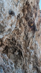 ba4b28f6-980b-4913-a768-fbc46631b7e0