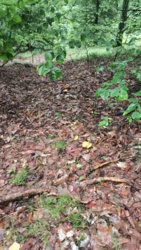 373f99c2-3638-47ad-bce3-1a1f75ca7d51