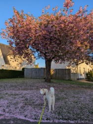 dfe5c1ff-8d54-4380-a61e-227afd80f573