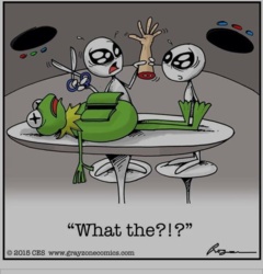 1510206f-bdf7-4dc6-bd75-163681a5d9c6