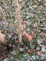 5ce37b6e-2994-4275-9843-9b390774fccb