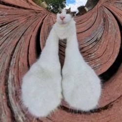 3b84d508-b701-4225-a9a2-6407ce6b6430